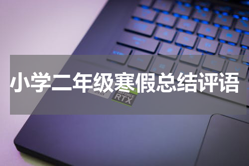 小学二年级寒假总结评语