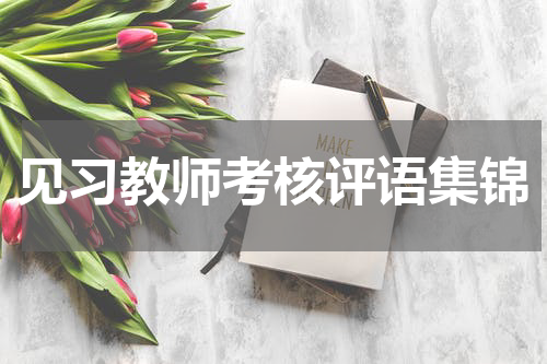 见习教师考核评语集锦