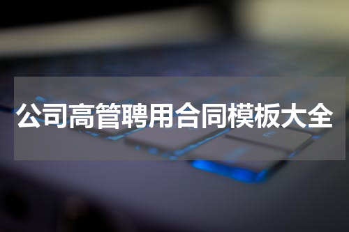 公司高管聘用合同模板大全