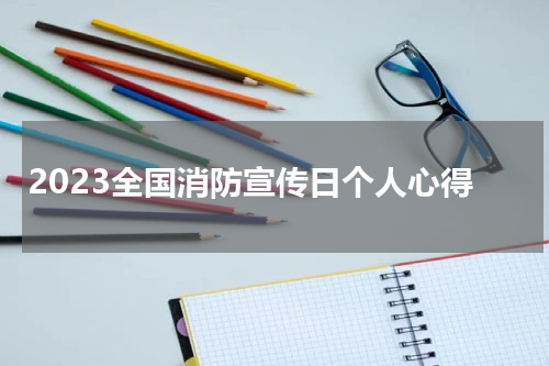 2023全国消防宣传日个人心得