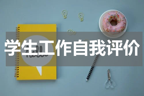 学生工作自我评价