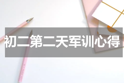 初二第二天军训心得