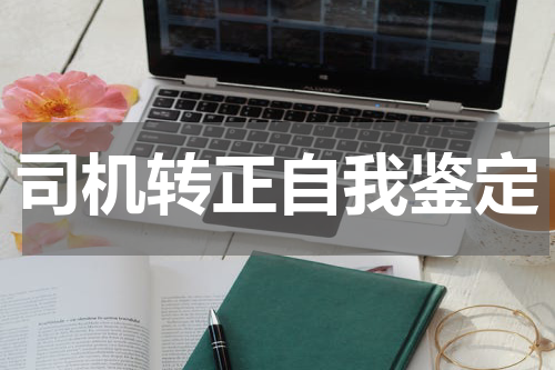 司机转正自我鉴定