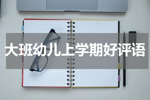 大班幼儿上学期好评语