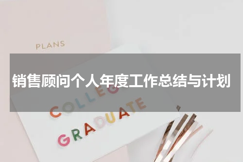销售顾问个人年度工作总结与计划