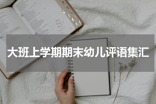 大班上学期期末幼儿评语集汇