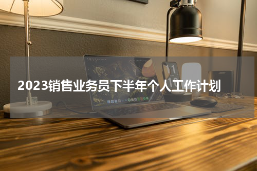2023销售业务员下半年个人工作计划