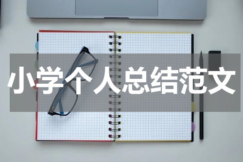 小学个人总结范文
