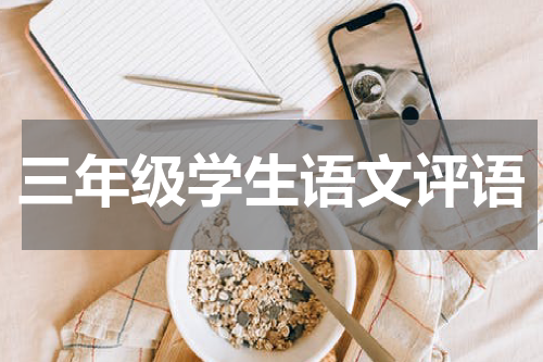 三年级学生语文评语