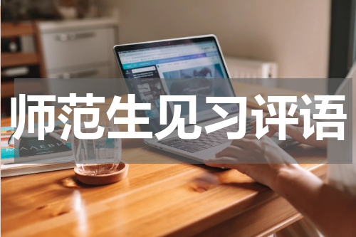 师范生见习评语