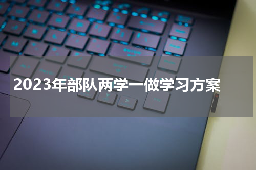 2023年部队两学一做学习方案