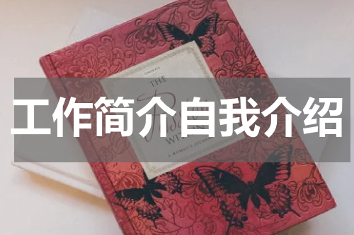 工作简介自我介绍