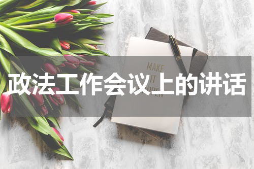 政法工作会议上的讲话