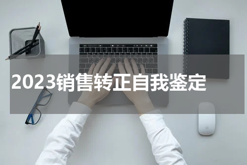 2023销售转正自我鉴定