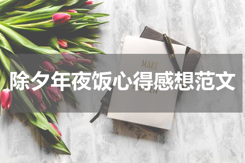 除夕年夜饭心得感想范文