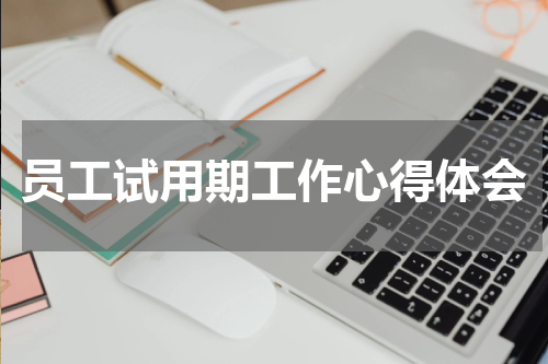 员工试用期工作心得体会