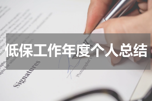 低保工作年度个人总结