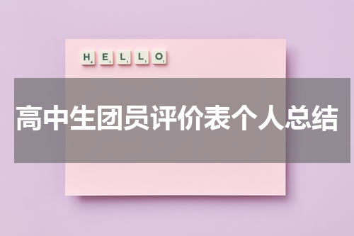 高中生团员评价表个人总结