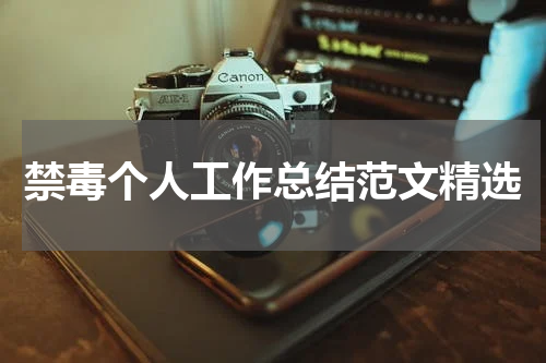 禁毒个人工作总结范文精选
