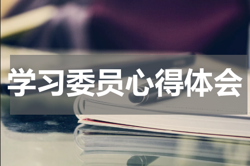 学习委员心得体会