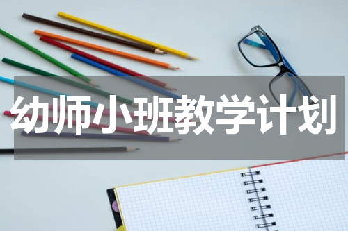 幼师小班教学计划
