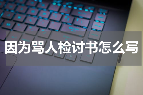 因为骂人检讨书怎么写