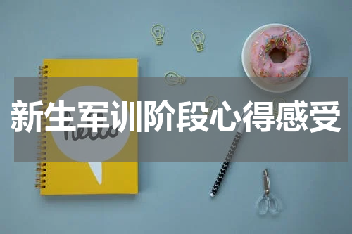 新生军训阶段心得感受
