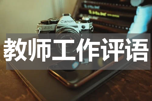 教师工作评语