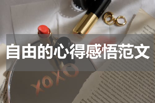 自由的心得感悟范文