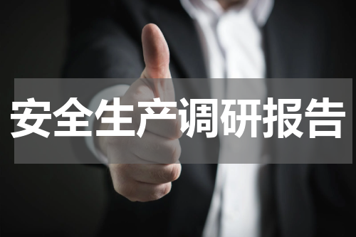 安全生产调研报告
