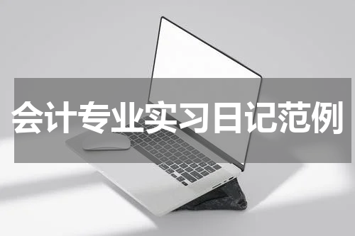 会计专业实习日记范例