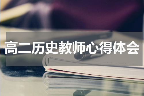 高二历史教师心得体会