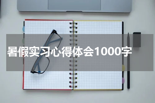暑假实习心得体会1000字