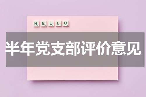 半年党支部评价意见