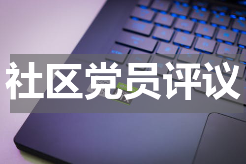社区党员评议