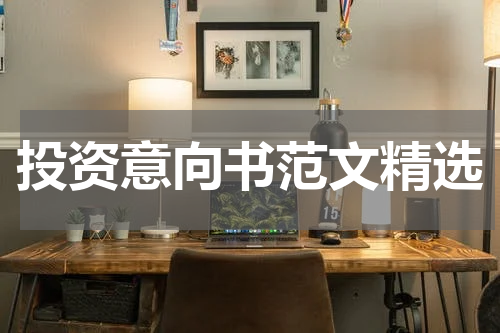 投资意向书范文精选