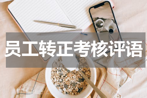 员工转正考核评语