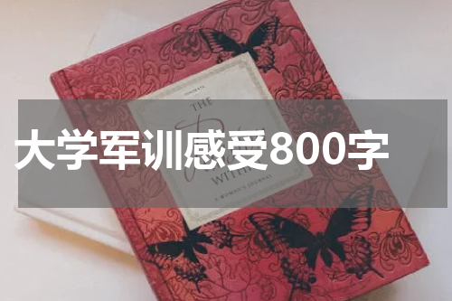 大学军训感受800字