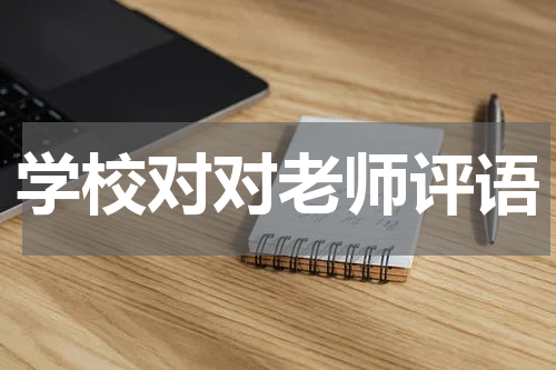 学校对对老师评语