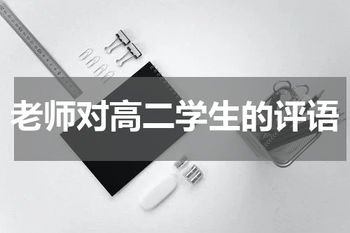老师对高二学生的评语