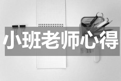 小班老师心得