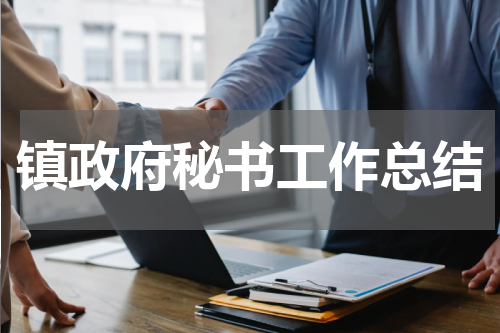 镇政府秘书工作总结