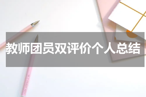 教师团员双评价个人总结