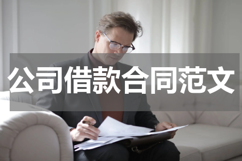 公司借款合同范文