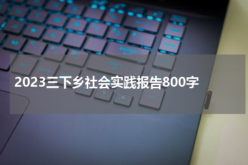 2023三下乡社会实践报告800字