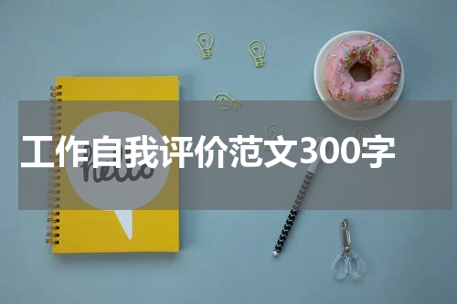 工作自我评价范文300字
