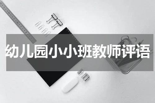 幼儿园小小班教师评语