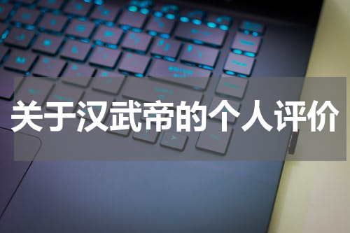 关于汉武帝的个人评价