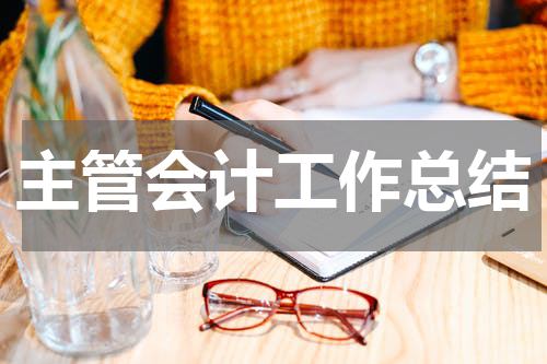 主管会计工作总结