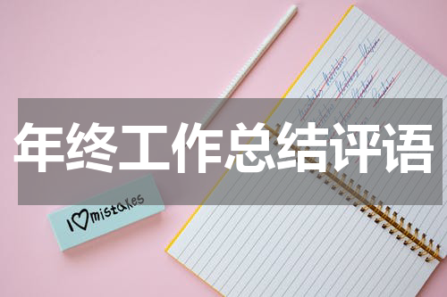 年终工作总结评语
